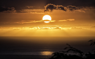 Sunset ocean clouds trees city 2 - a photo free wallpaper