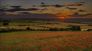 Flower field sunset clouds mountains 2 - a field of flowers free wallpaper
