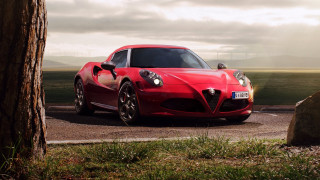 Red sports car road tree 2 - a road next free wallpaper