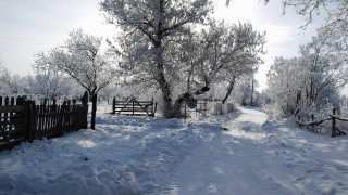 Snowy path fence tree person - samikshavad free wallpaper