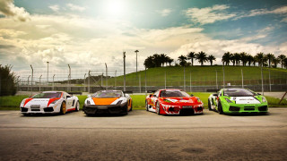 Three race cars palm trees - palm tree free wallpaper