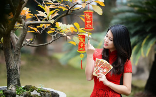 Woman fan tree chinese decoration - a park setting free wallpaper