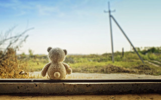 Teddy bear window sill field - a window sill free wallpaper