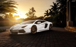 White sports car sunset palm - palm tree free wallpaper