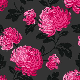 Pink flower black background large - free minimalism wallpaper