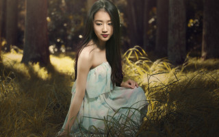 Woman dress field trees sunlight - the background and sunlight free wallpaper