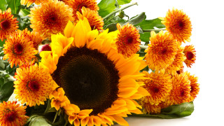Large sunflower vase leaves flowers - a vase free wallpaper