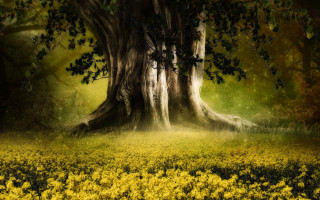 Tree field sunbeam autumn leaves - a sunbeam in the background free wallpaper