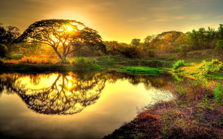 Sunset lake trees grassy horizon - small free wallpaper for desktop