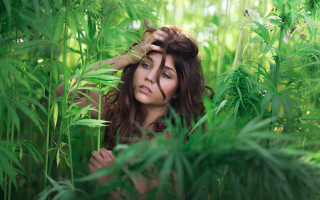 Woman hiding plant woods blurry - closed free wallpaper