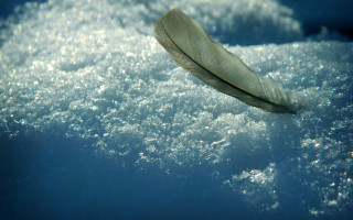Feather water bubbles blue sky - bubble of water free wallpaper