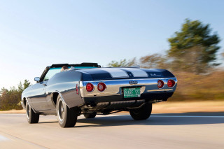 Car driving road license rear - f 8 aperture free wallpaper