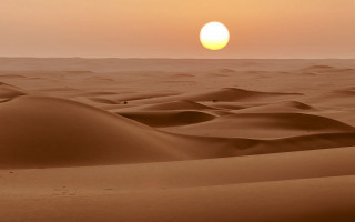 Desert sunset dunes bird moon - sand free wallpaper
