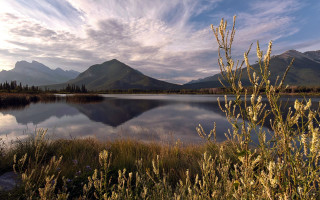 Lake mountains grass sky clouds 11 - mountain and grass free wallpaper