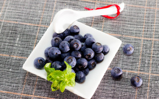 White plate blueberries milk bottle - a table cloth free wallpaper
