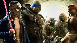 Teenage mutant furry art dom - teenage free wallpaper