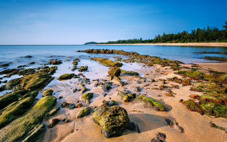 Beach rocks water island trees - a small island in the distance free wallpaper