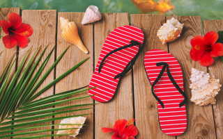 Flipflops woodendeck flowers fishpond summer - a wooden deck next free wallpaper