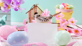 Bird card eggs flowers sign - beatrix potter free wallpaper