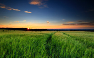 Green hill sunset trail landscape - the horizon free wallpaper