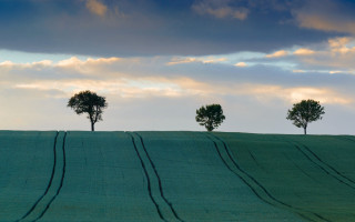 Three trees hill cloudy sky - impressionist free wallpaper