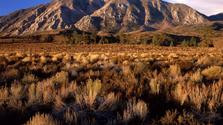 Mountain field grass clouds sunset - ansel adams free wallpaper