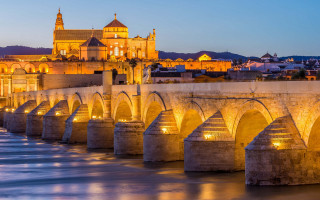 Bridge castle city lights water - a bridge free wallpaper