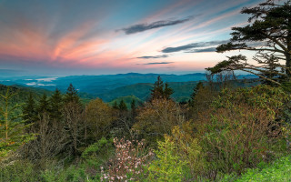 Sunset mountain range trees bushes 2 - alson s. clark free wallpaper