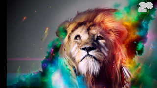 Lion colorful background caption image - psychedelic art free wallpaper