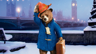 Bear coat hat suitcase snow - a bear free wallpaper