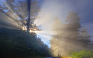 Foggy road matte painting crepuscular - crepuscular ray free wallpaper