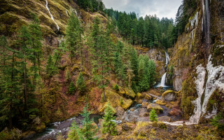 Waterfall forest stream rocks nature - a waterfall in a forest free wallpaper