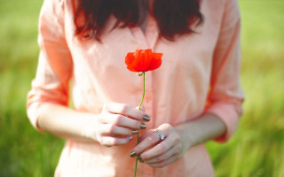 Woman red flower field pink - a pink shirt free wallpaper