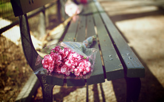 Flowers bench park bokeh blurry - the bench free wallpaper