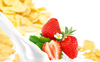 Strawberry milk splash flower autumn - fructose free wallpaper