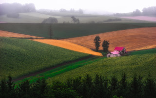 Farmhouse greenfield trees foggysky impressionist - a foggy sky in the background free wallpaper