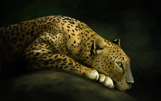 Leopard laying rock photorealistic digital - its eye free wallpaper