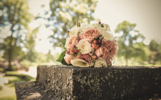Bouquet flowers park sunlit roses - bracha l. ettinger free wallpaper