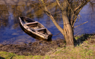 Small boat tree water edge - a small boat free wallpaper