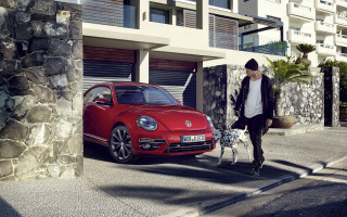 Man dog red car street - a stone wall free wallpaper