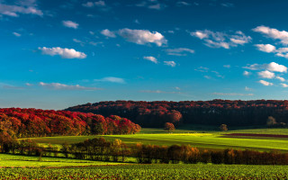 Green field trees clouds blue 8 - white cloud above free wallpaper