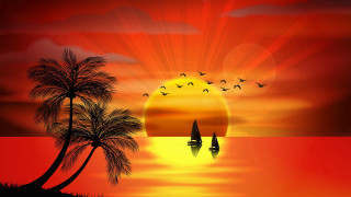 Sunset sailboat palm trees horizon - a sailboat in the background free wallpaper