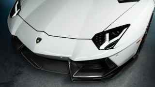 White lamb car black stripe - a black stripe free wallpaper