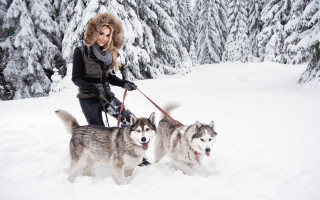 Woman dogs snow forest winter - two dog free wallpaper