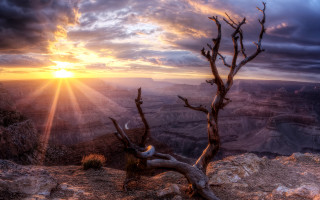 Sunset tree branch clouds lake - a tree branch in the foreground free wallpaper