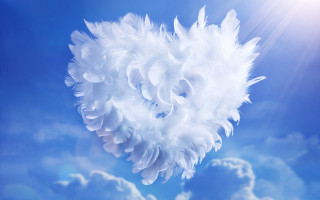White feather floating sunny day - the cloud free wallpaper