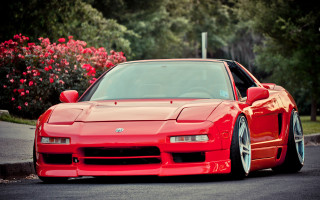 Red sports car bush flower - the side of the road in front free wallpaper