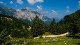 Lush forest hillside mountain clouds - carl hoppe free wallpaper