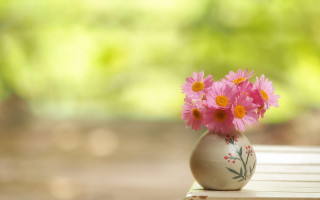 Vase pink flowers table window - a vase free wallpaper
