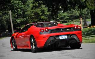 Red sports car street forest - a forest of trees and grass free wallpaper